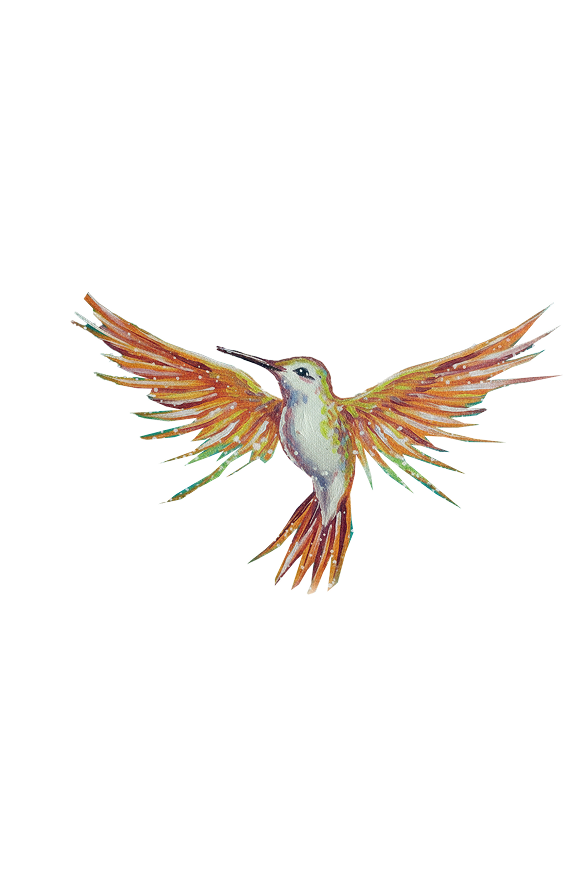 The Hummingbird archetype, hand painted