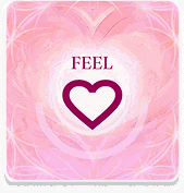 FEEL card